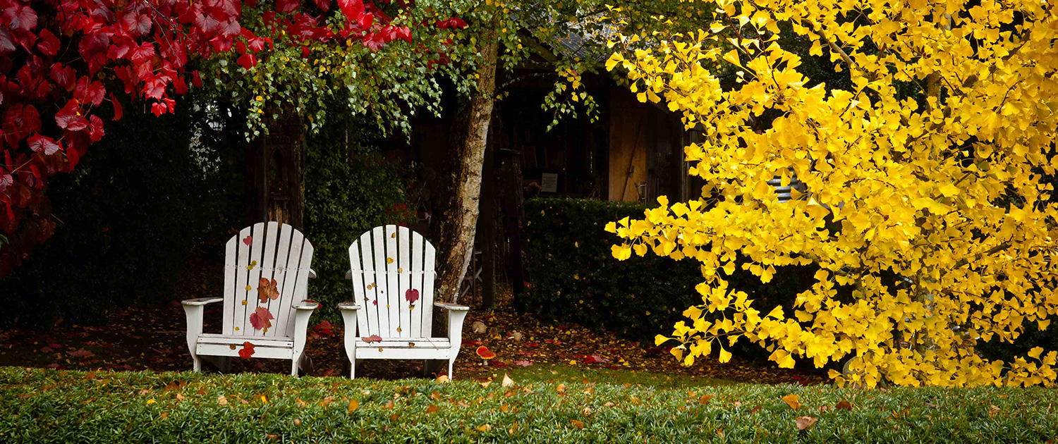 Preparar el jardín para el invierno